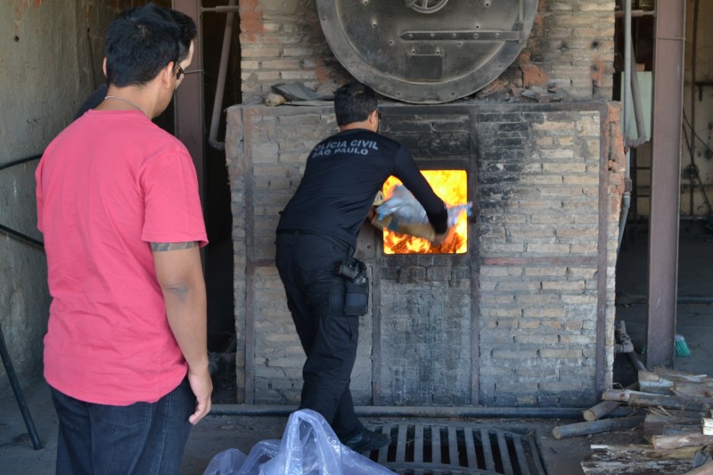 Polícia Civil de Penápolis incinera entorpecentes apreendidos nos últimos meses