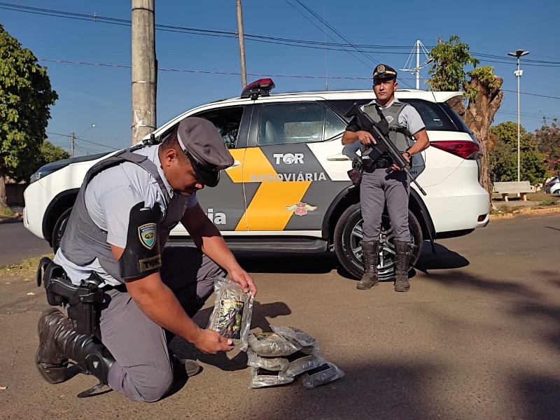 TOR prende mulher com bebê de 2 meses transportando entorpecentes em ônibus