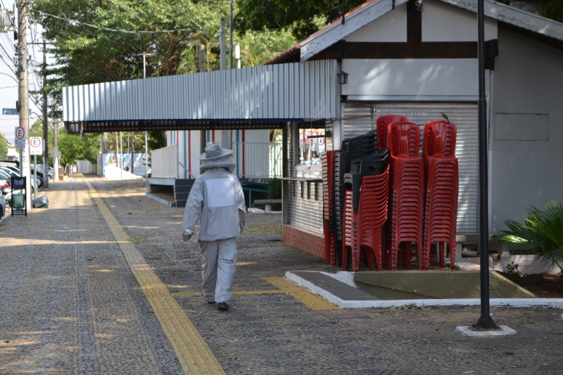 Praça Dr. Carlos Sampaio Filho é alvo de enxame de abelhas nesta sexta-feira