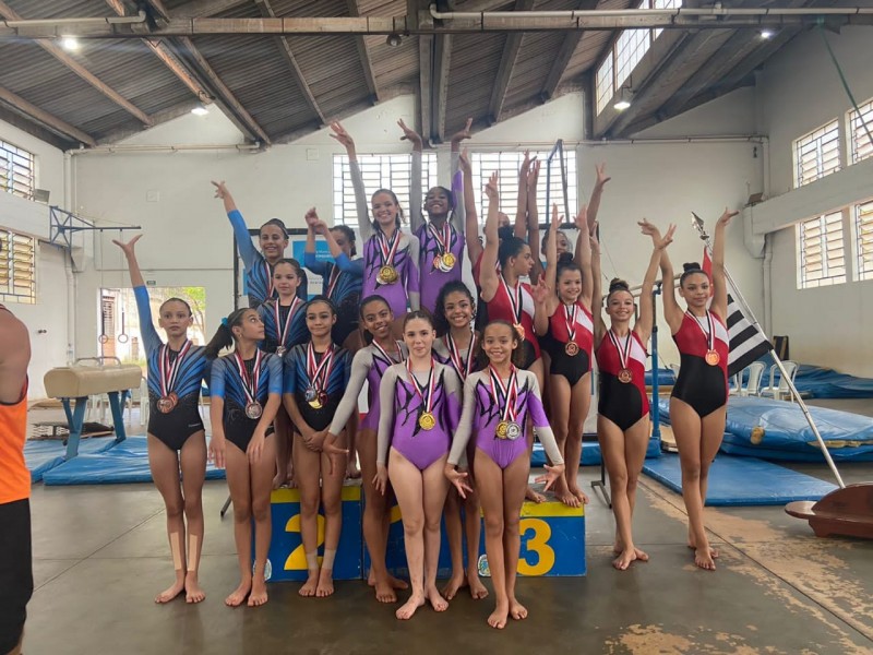 Ginástica artística é campeã dos Jogos Regionais