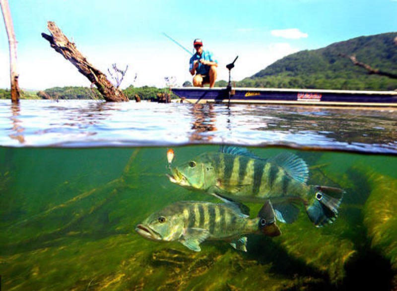 Etapa de torneio de pesca esportiva acontece no próximo dia 15 em Araçatuba