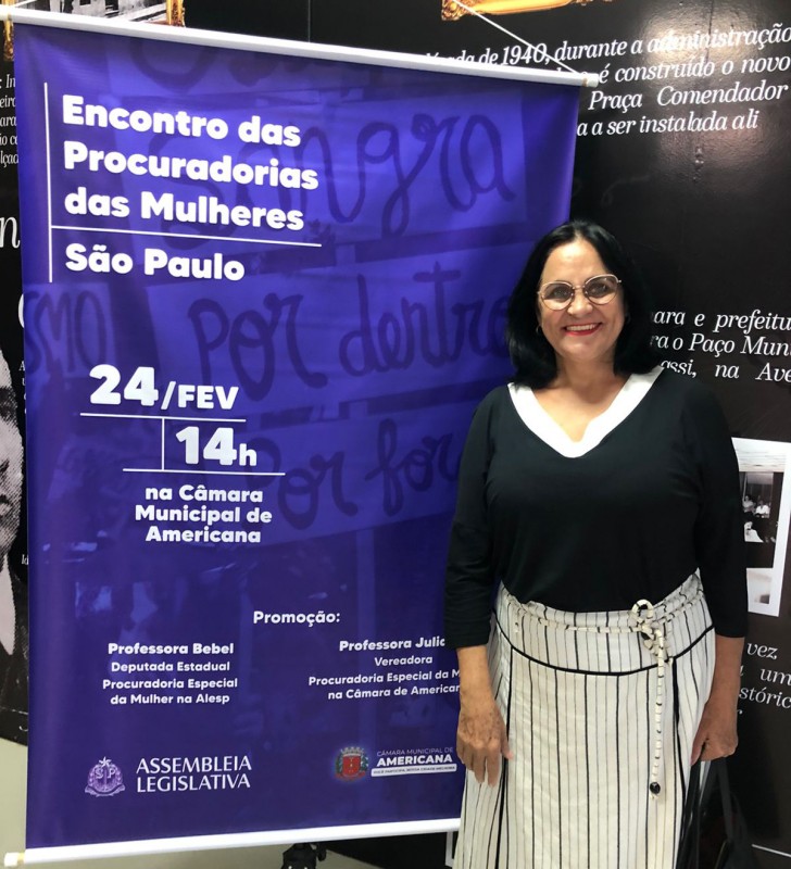 Procuradorias das mulheres: professora Jandinéia participa de encontro