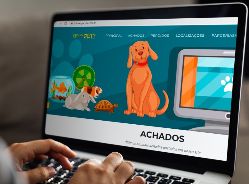 Alunos da Univesp desenvolvem plataforma que auxilia na localização de pets perdidos