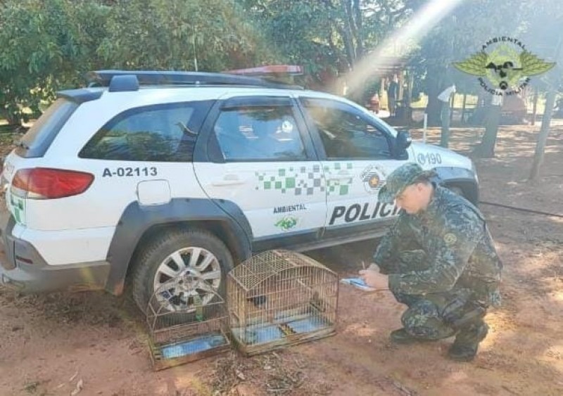 Morador é autuado em R$ 1 mil pela Polícia Ambiental por manter aves em cativeiro