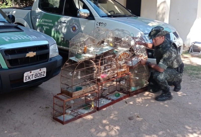 Polícia Ambiental multa morador em R$ 55,5 mil por manter aves em cativeiro