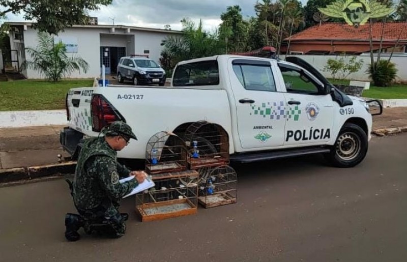 Morador de Luiziânia é multado em R$ 2 mil por manter aves em cativeiro