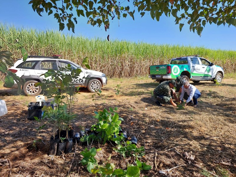 Polícia Ambiental e demais órgãos realizam plantio de mudas nativas