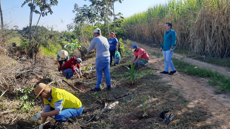 Atividades celebram Dia Mundial do Meio Ambiente