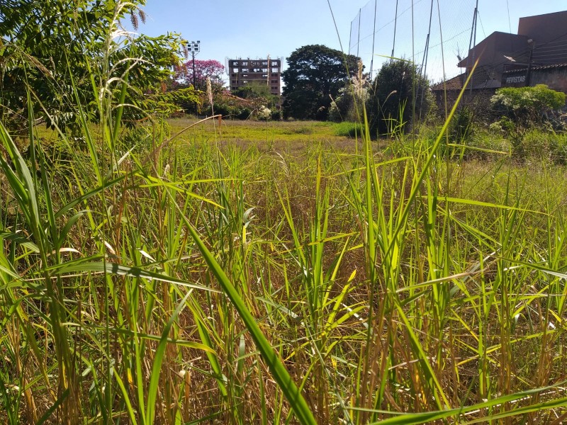 Requerimento reclama abandono de antiga sede da AABB