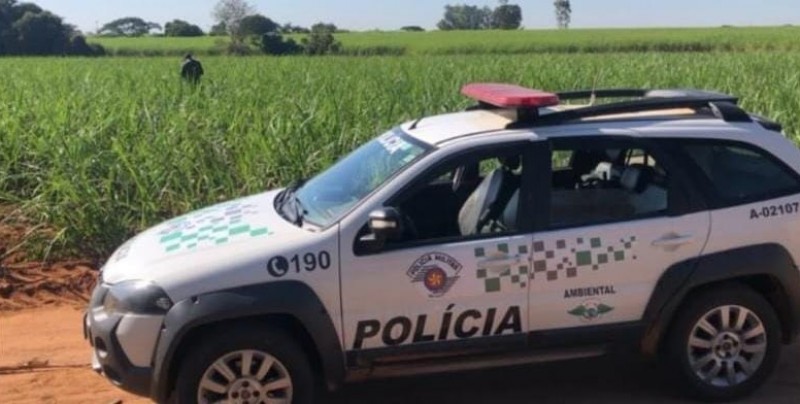 Proprietários são multados por degradação ambiental contra a flora