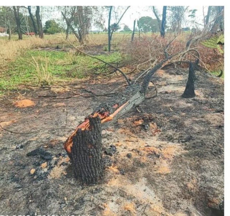 Polícia Ambiental multa proprietários em mais de R$ 28 mil por degradação