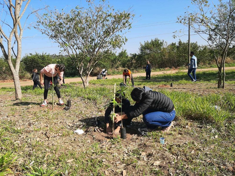 Daep promove plantio de 250 árvores no Dia da Árvore