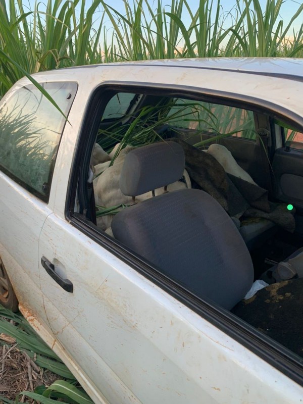 Ladrões abandonam carro com bovinos furtados dentro do porta malas e banco traseiro