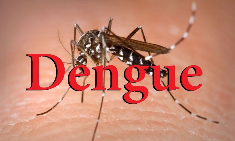 Penápolis confirma primeira morte por dengue no ano