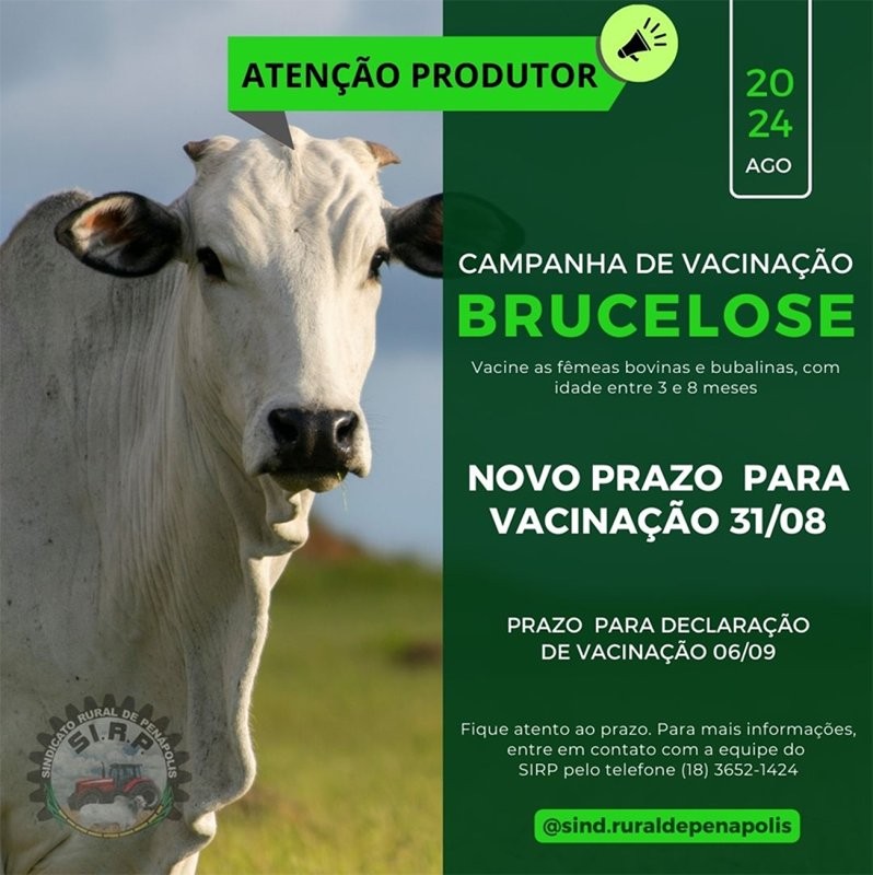 Nova prorrogação do prazo para a vacinação de bovinas e bubalinas contra a brucelose