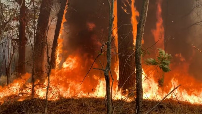 Cidades das regiões de São José do Rio Preto e Ribeirão Preto estão nas mais atingidas pelas queimadas