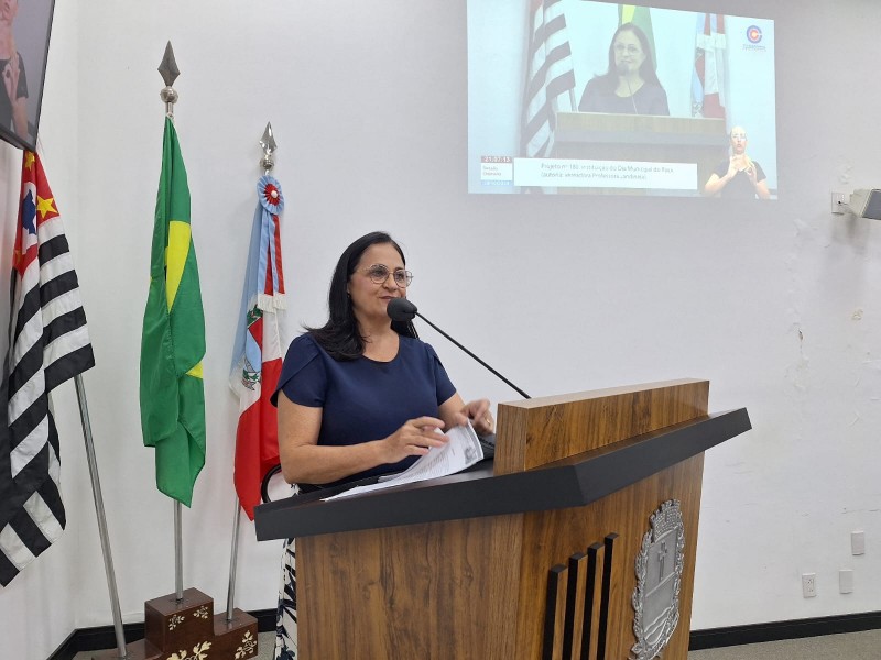 Câmara aprova criação do Dia Municipal do Rock em Penápolis