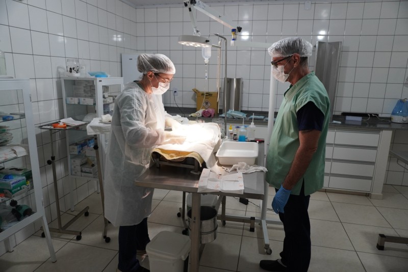 Zoonose de Penápolis faz cerca de 2,8 mil atendimentos por ano