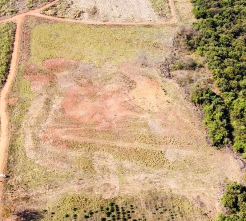 Proprietária rural é multada em R$ 4,5 mil por dano ambiental