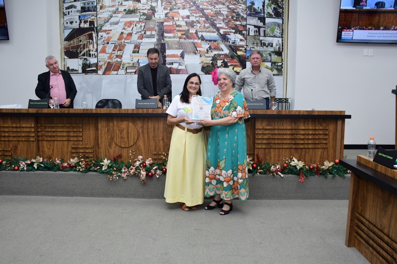 Voluntária Suzel Agnholeto recebe título de “Doador do Ano”