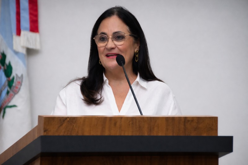 Câmara questiona dificuldades de vagas para atendimento psicológico