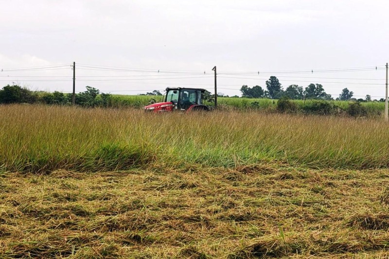 Secretaria de Agricultura executa roçagem em diversas áreas da cidade