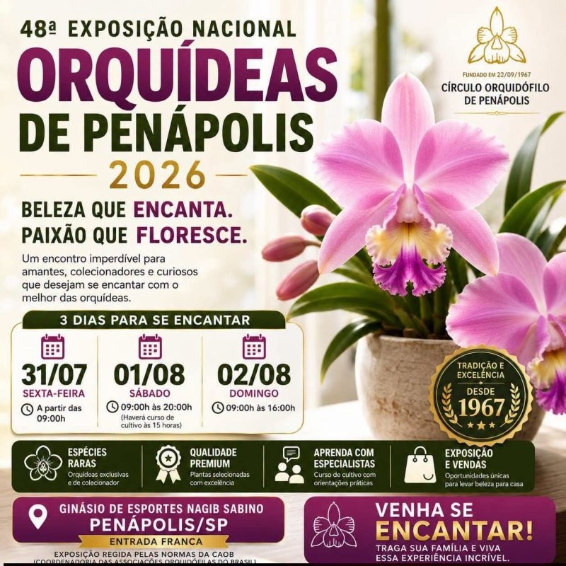 Exposição de Orquídeas de Penápolis acontece neste final de semana