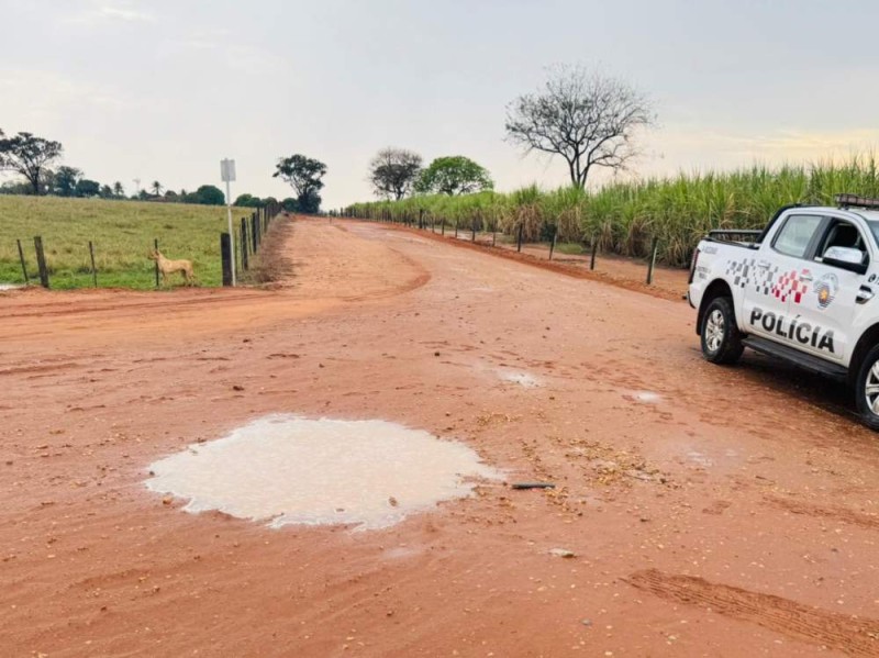 Mulher seminua é encontrada morta em canavial