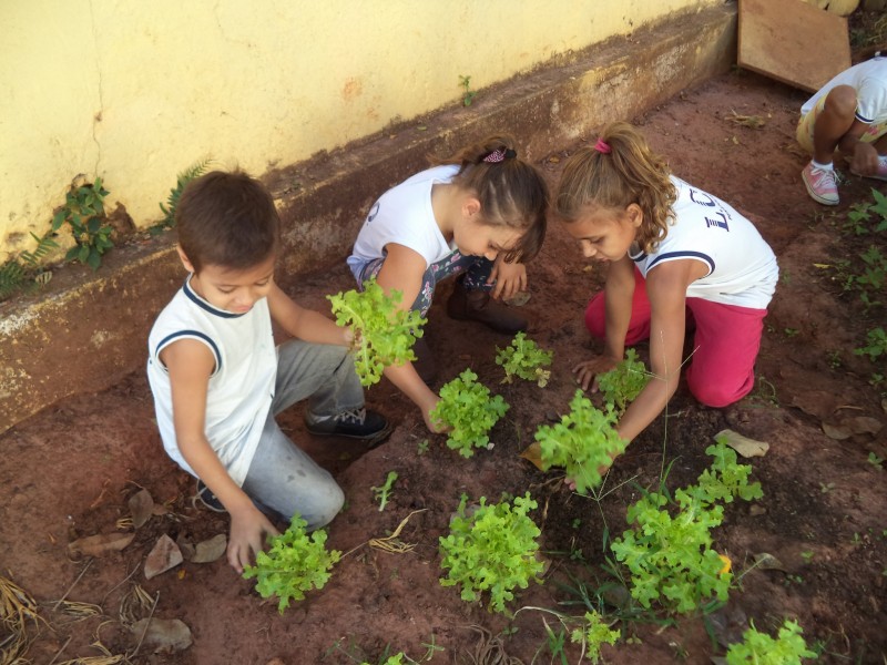 Horta no Luiz Chrisóstomo ensina educação ambiental