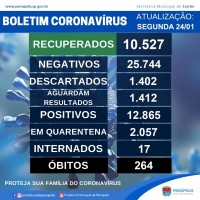 Quantidade de casos positivos e mortes em Penápolis desde o começo da pandemia