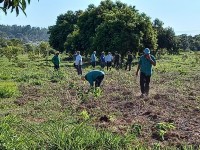 Espaço recebeu o plantio de 100 mudas nativas nesta quinta-feira (24)