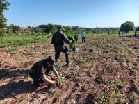 Espaço recebeu o plantio de 100 mudas nativas nesta quinta-feira (24)