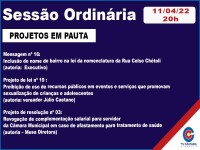 Projetos em pauta podem ser acessados pela página do Legislativo penapolense