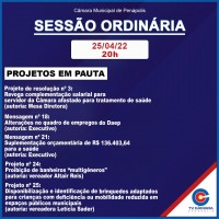 Todas as proposituras completas podem ser acessadas na página da Câmara de Penápolis