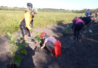 Foram plantadas pelos participantes 130 mudas de árvores nativas