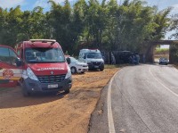 Condutor disse à polícia que não conseguiu fazer a curva, tombando o caminhão