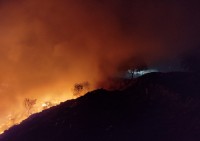 Chamas foram controladas por uma equipe da autarquia e do Corpo de Bombeiros