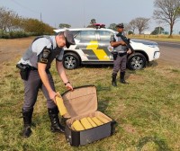 Tijolos de maconha estavam escondidos nas bagagens transportadas pelo cozinheiro