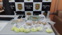 Policiais apreenderam pinos de cocaína, maconha, balança, simulacro, além de R$ 716,20 em dinheiro