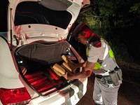 Tijolos de maconha estavam dentro de bolsas no banco traseiro e no porta-malas