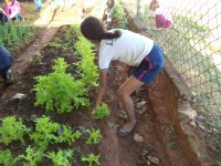 No espaço são trabalhados temas como preparo do solo, fertilização com produtos naturais e orgânicos, entre outros