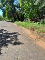 Final da rua José Feltrin necessita de projeto para instalação de galeria e limpeza