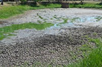 Lagoa do Parque Maria Chica, que está sem água, é alvo de reclamações em razão do mato, lodo e cheiro insuportável