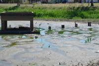 Lagoa do Parque Maria Chica, que está sem água, é alvo de reclamações em razão do mato, lodo e cheiro insuportável