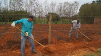 Com 112 canteiros, a horta atenderá 56 famílias que poderão cultivar hortaliças e legumes