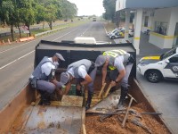 Tijolos de maconha estavam escondidos em um fundo falso na carroceria do caminhão