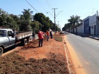 Plantio de grama é feito no canteiro central da rua Irmãos Torrezan