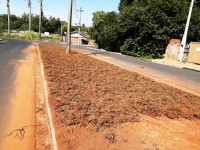 Plantio de grama é feito no canteiro central da rua Irmãos Torrezan