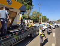 Ao todo, foram encontrados 1.310 tabeles de maconha, totalizando 965,700 quilos