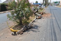 Colisão em árvore e poste ocorreu na avenida Alayde Ferraz de Almeida